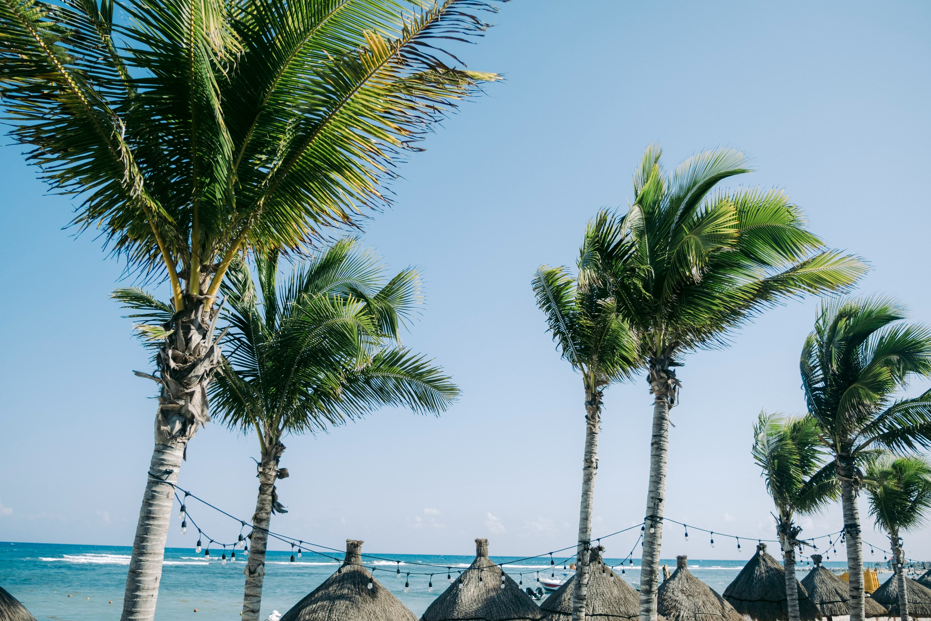 Fluere goes to Cancun: All Inclusive Salsa & Bachata Beach Paradise