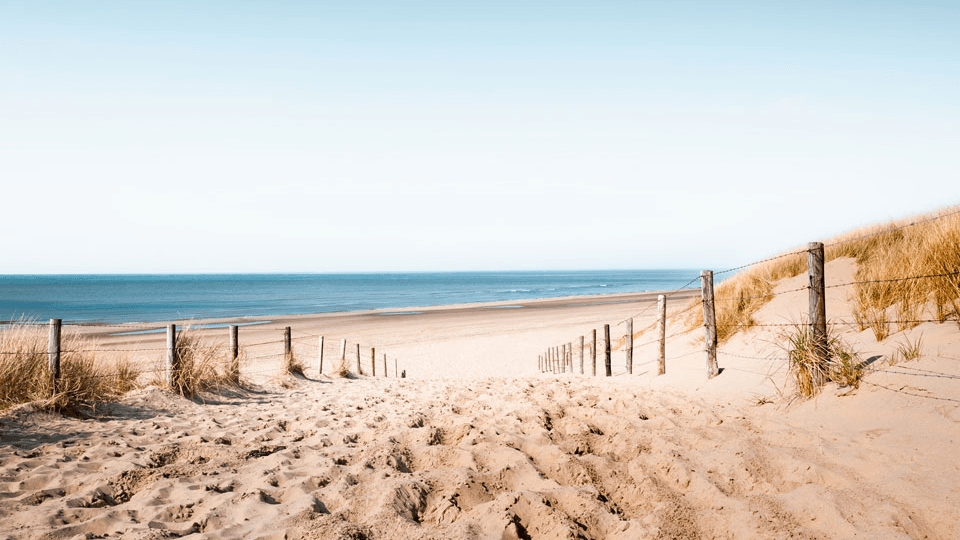 Don’t Die meetup on the Beach – Noordwijk, 24 May